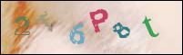 Registration Image