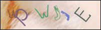 Registration Image