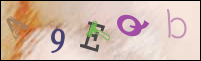 Registration Image