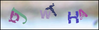 Registration Image