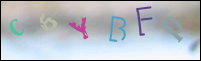 Registration Image