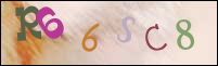 Registration Image