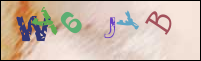 Registration Image