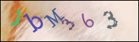 Registration Image